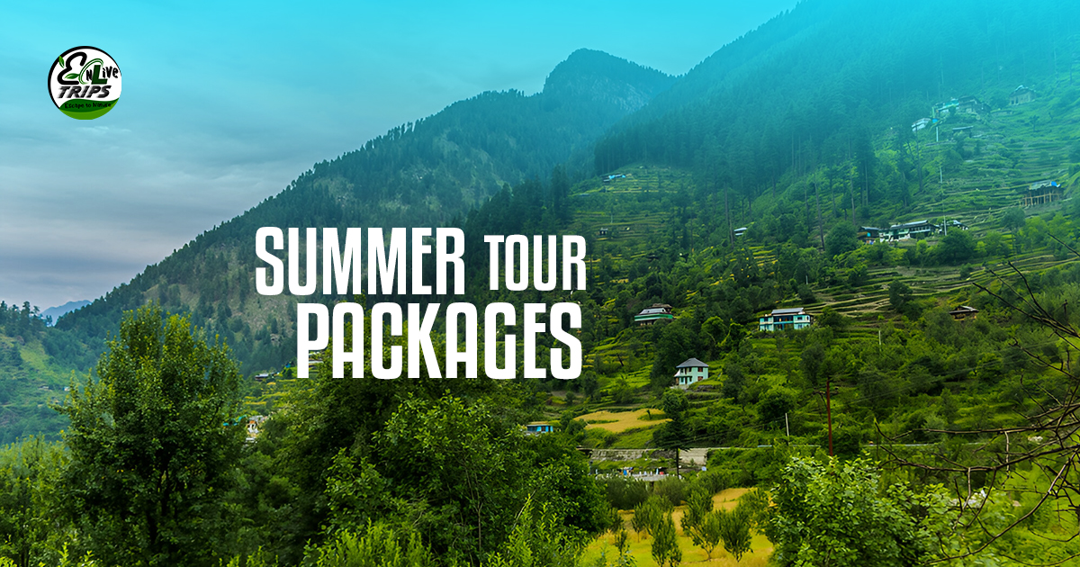 Summer holiday packages from delhi